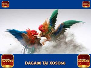 daga88 tại xoso66