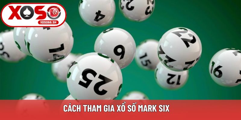 Kinh nghiệm chơi xổ số Mark Six dễ thắng