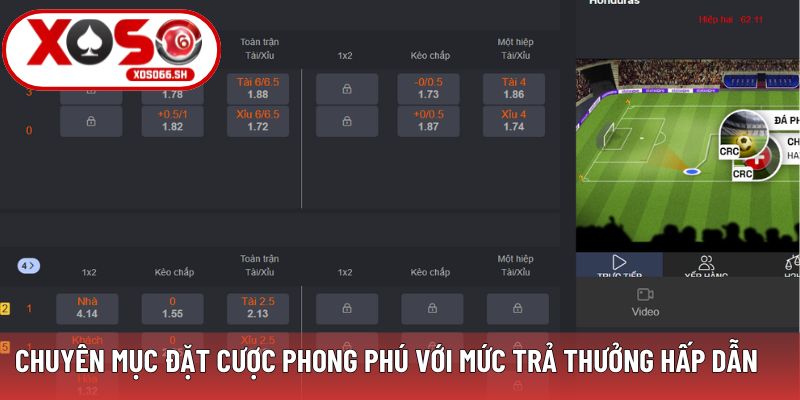 Chuyên mục đặt cược phong phú với mức trả thưởng hấp dẫn