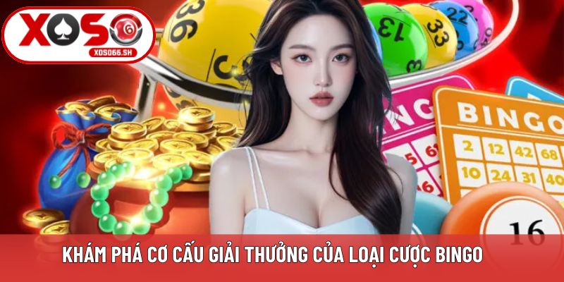 Khám phá cơ cấu giải thưởng của loại cược Bingo